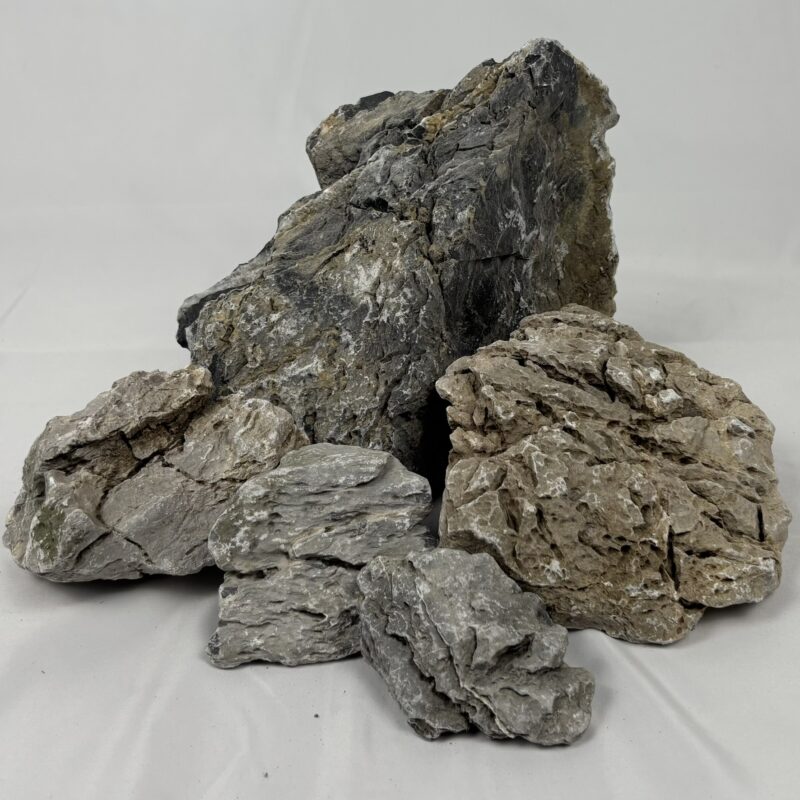 Seiryu Stone (Taille au choix)